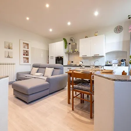 Sunflower - Modern On Maggiore